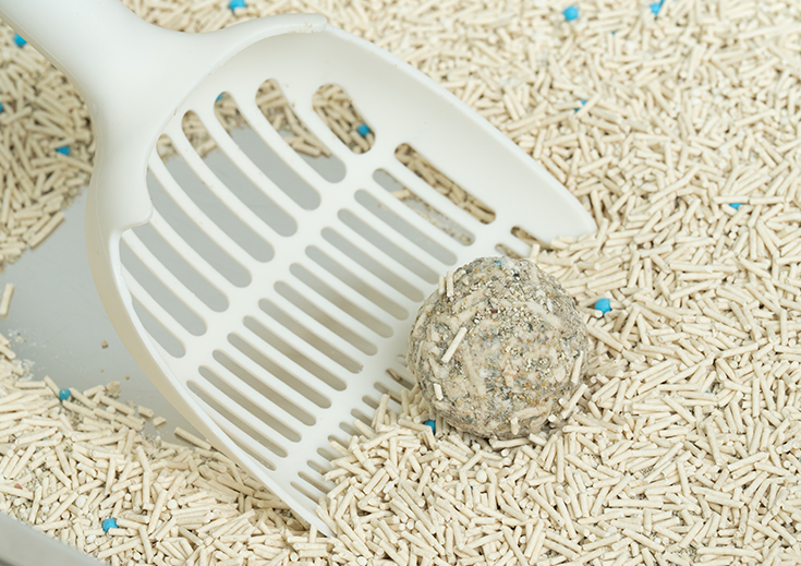 LoLoStar mixed cat litter with clumping scoop