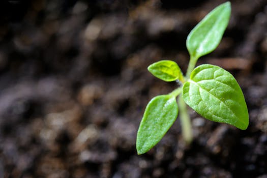 Eco-friendly biotechnology milestone