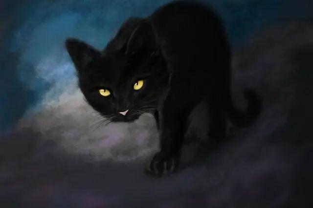 Legends Of Spirit Cats