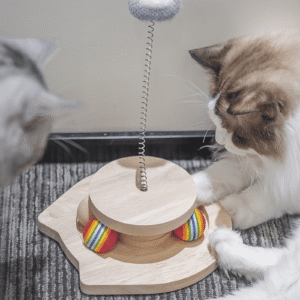 Christmas Pet Products