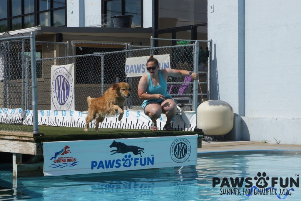 Midwest Indoor Dog Parks