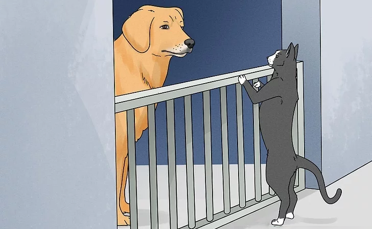 Introduce Them Gradually