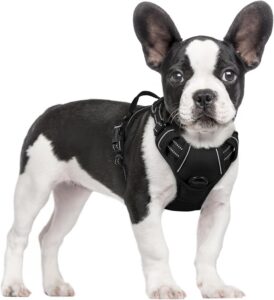 Dog Harness