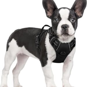 1 Dog Harness