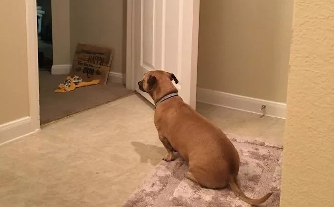 The 'Bathroom Bodyguard'