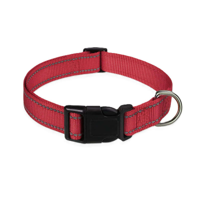 Reflective Dog Collar with Buckle Adjustable