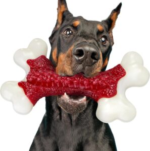 Durable Dog Chew Toy