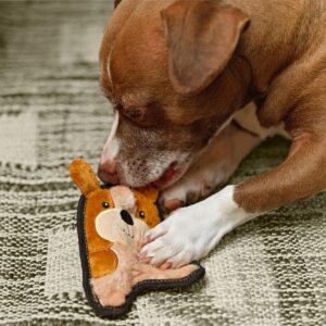 Dog playing with a plush chew toy from LoLoStar