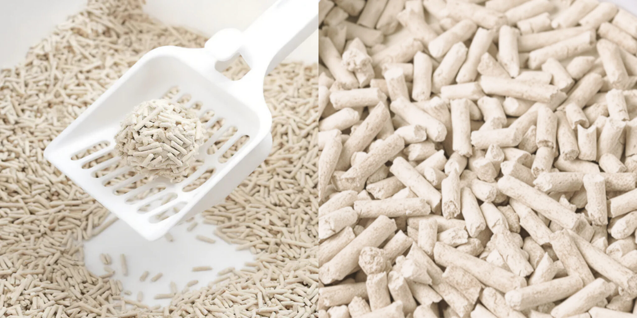 Plant-based cat litter