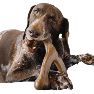 Durable dog chew toy being chewed by a large dog on a couch.