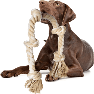 Dog rope toys Brown dog holding a large white knotted rope chew toy in its mouth