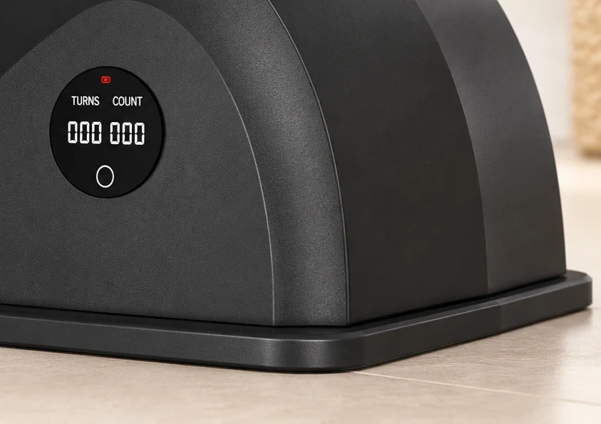 Lap counter display and module detail
