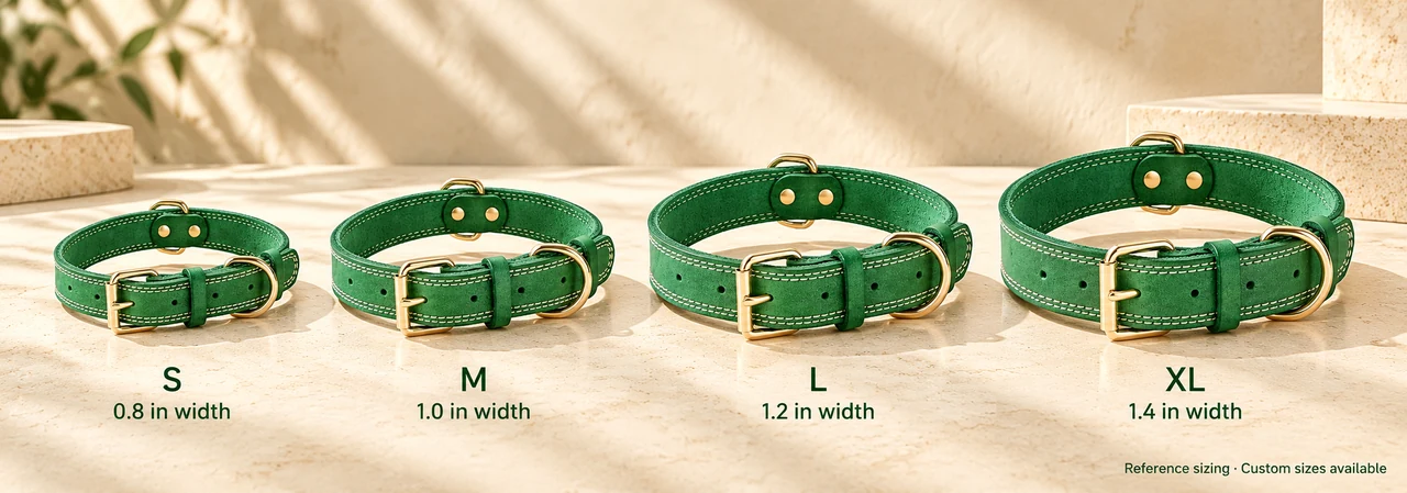 Genuine leather dog collars displayed in S, M, L, and XL sizes