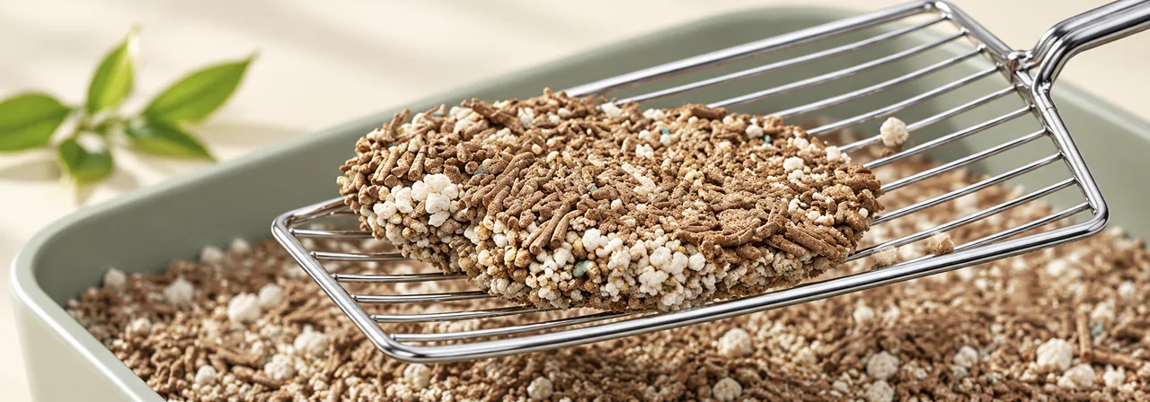 Thin dish-shaped clumps of tea and cassava mixed cat litter